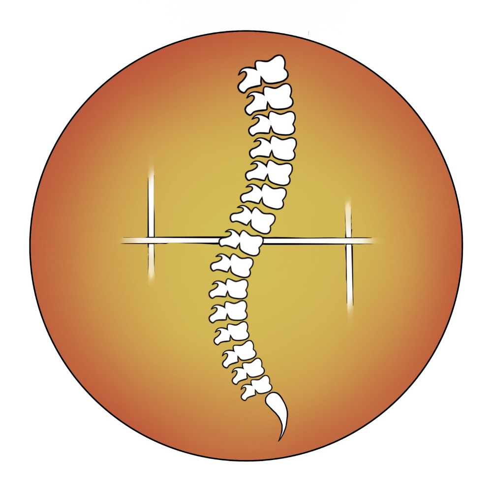 SpineLine Logo